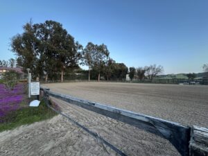 image1 (2)